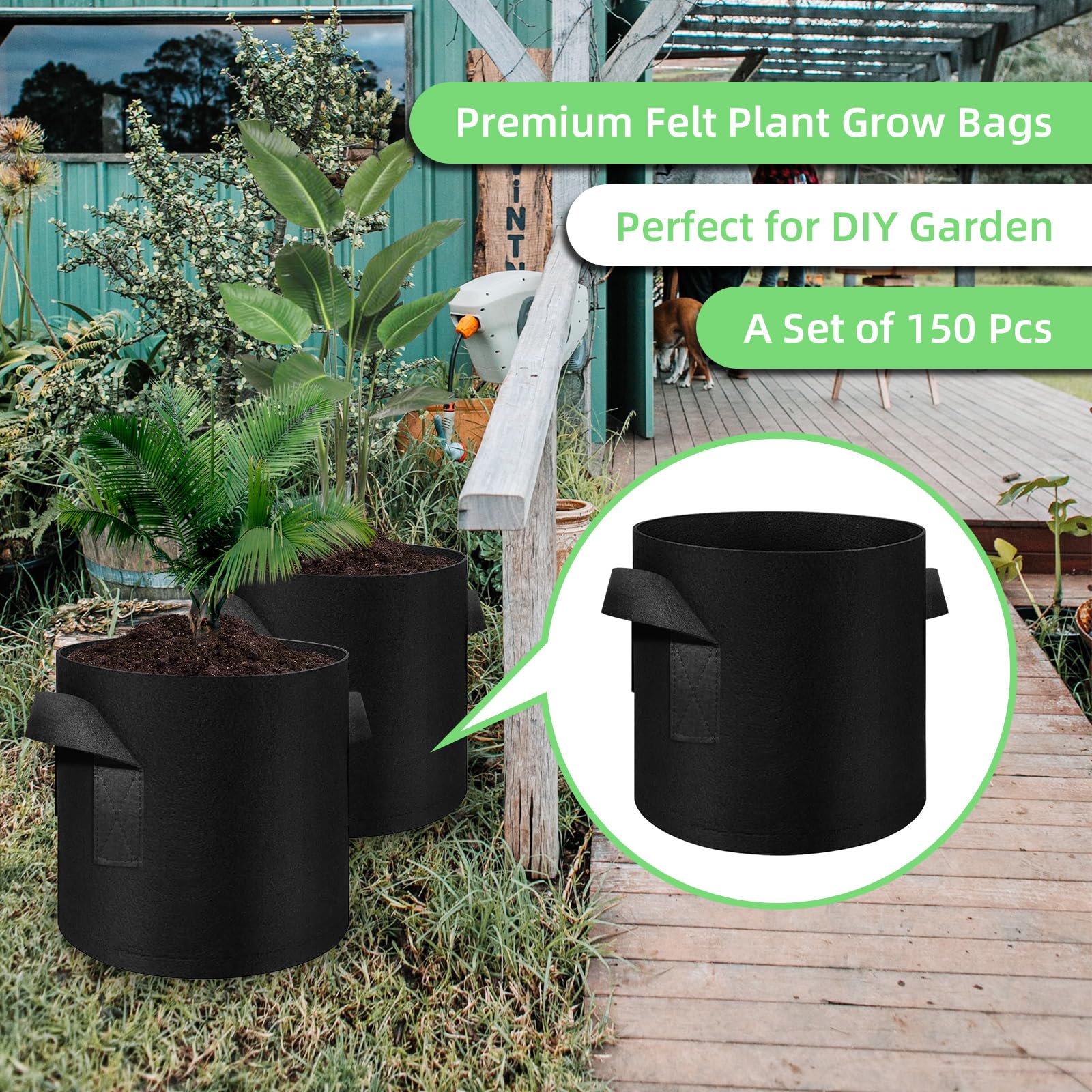 best soil for grow bags