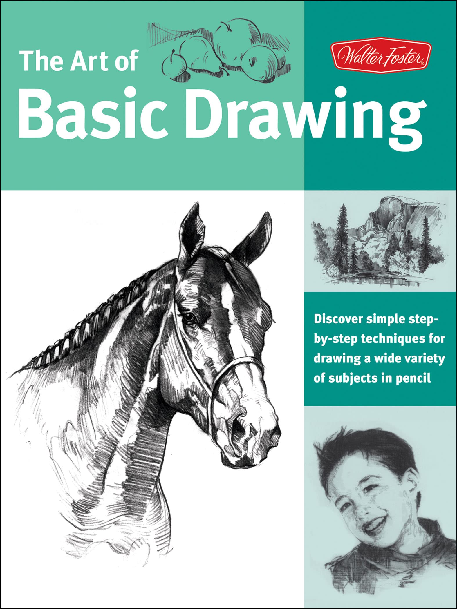 The Art of Basic Drawing: Discover Simple Step-by-Step Techniques for Drawing a Wide Variety of Subjects in Pencil (English Edition)