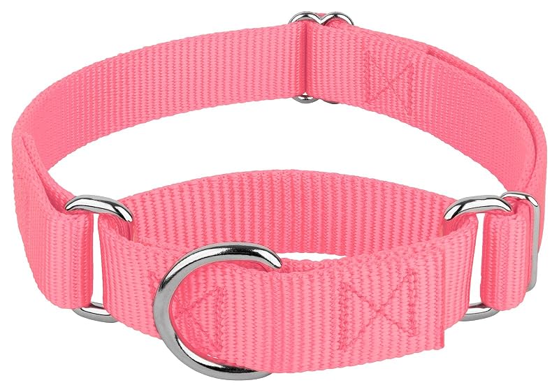 Coleira Martingale para Cães em Nylon com Fechamento Pull On Country Brook Design Rosa Grande
