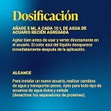 Ver la foto 7