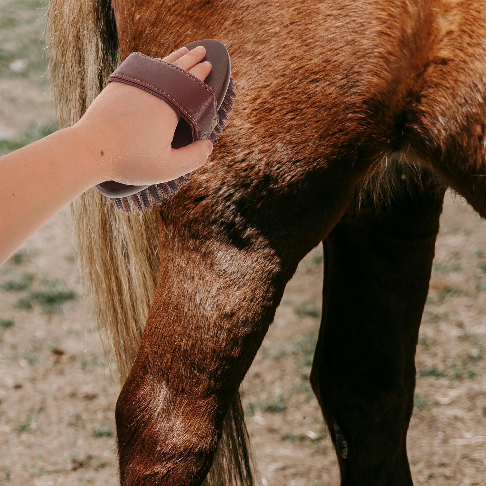 SUPVOX Cepillo para Caballos con Mango Ergonómico de Madera y Cerdas Duras para Limpieza Profunda y Masaje en Rutinas de Aseo Diario