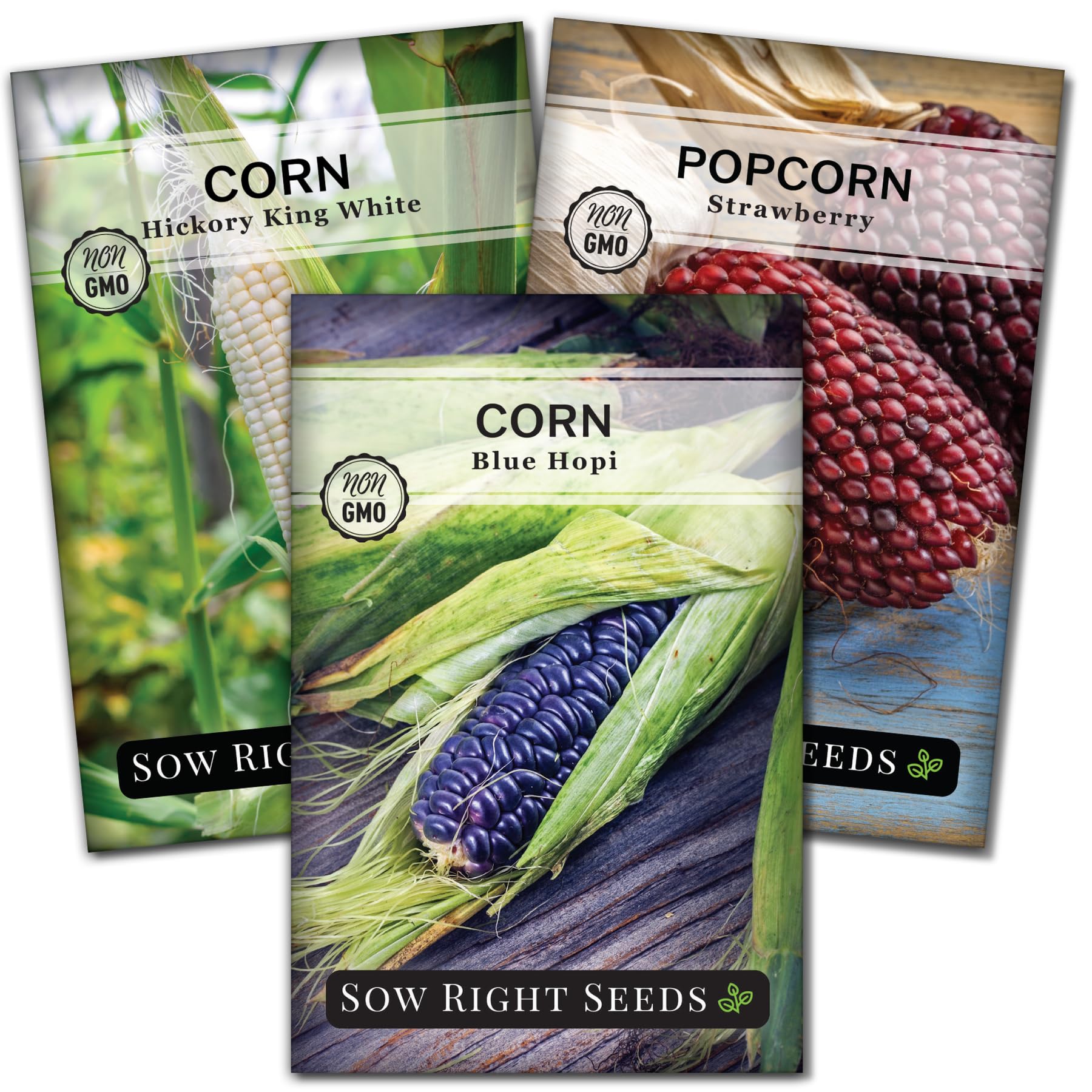 Sow Right Seeds - Rare Corn Seed Collection for Planting - Strawberry Popcorn, Blue Hopi and White Hickory King Varieties - Non-GMO Heirloom Packets with Instructions to Plant a Home Vegetable Garden