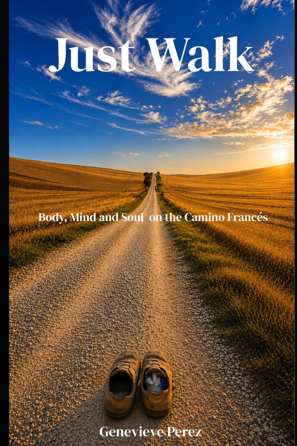 Just Walk: Body, Mind and Soul on the Camino Francés