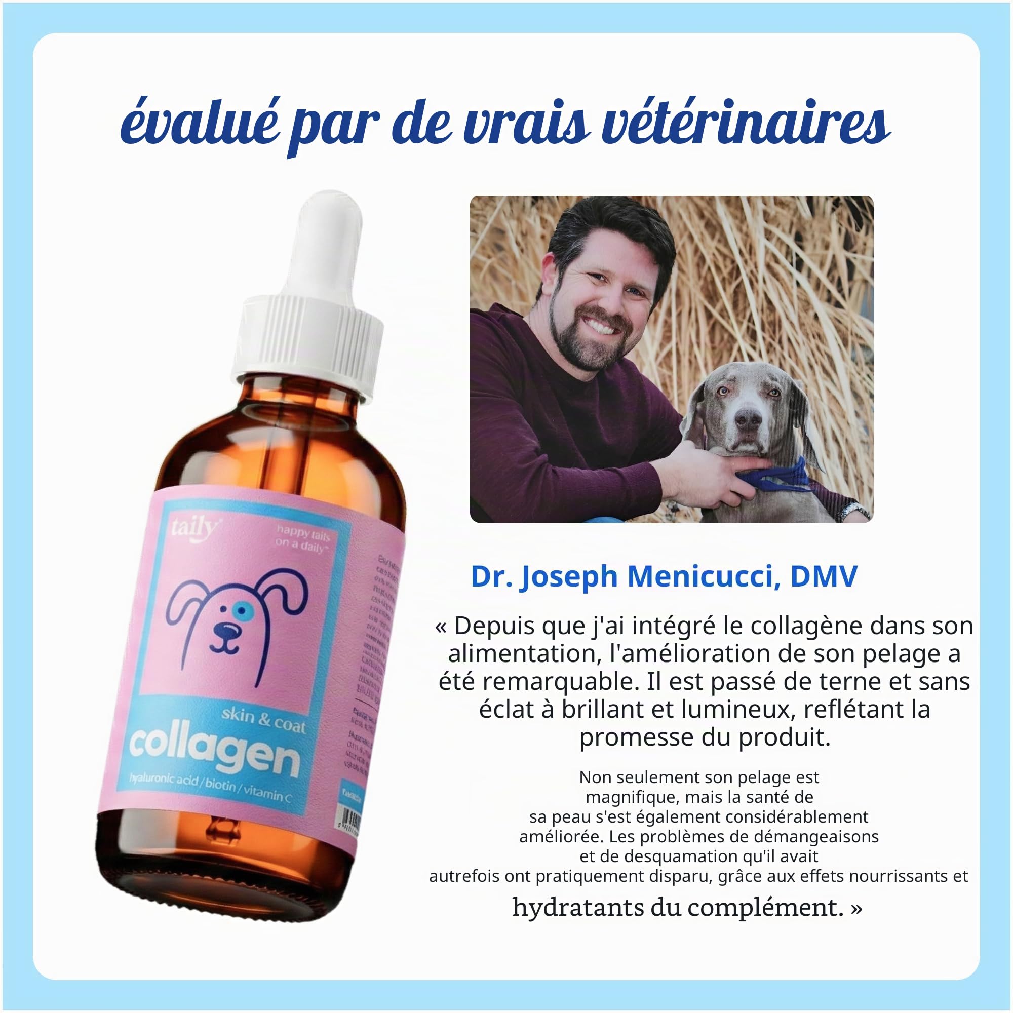 Complément alimentaire pour la peau et le pelage pour chiens, chats | Collagène liquide Taily pour chiens | Soulage les démangeaisons pour chiens allergiques, avec collagène nourri à l'herbe, biotine
