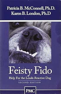 Feisty Fido: Help for the Leash-Reactive Dog - coolthings.us