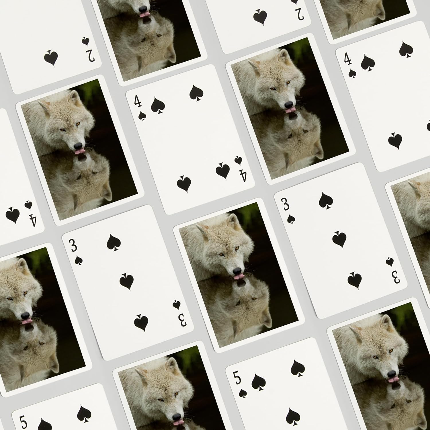 Lantern Press Wolf Drinking, 52 Playing Cards for Adults, Poker Size Card Deck