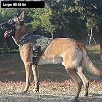 Vista 2 de ICEFANG - Arnés táctico para perro, talla L, 2 hebillas de metal, chaleco para transportar carga, ligero y modular (MOLLE) con mango, clip de correa