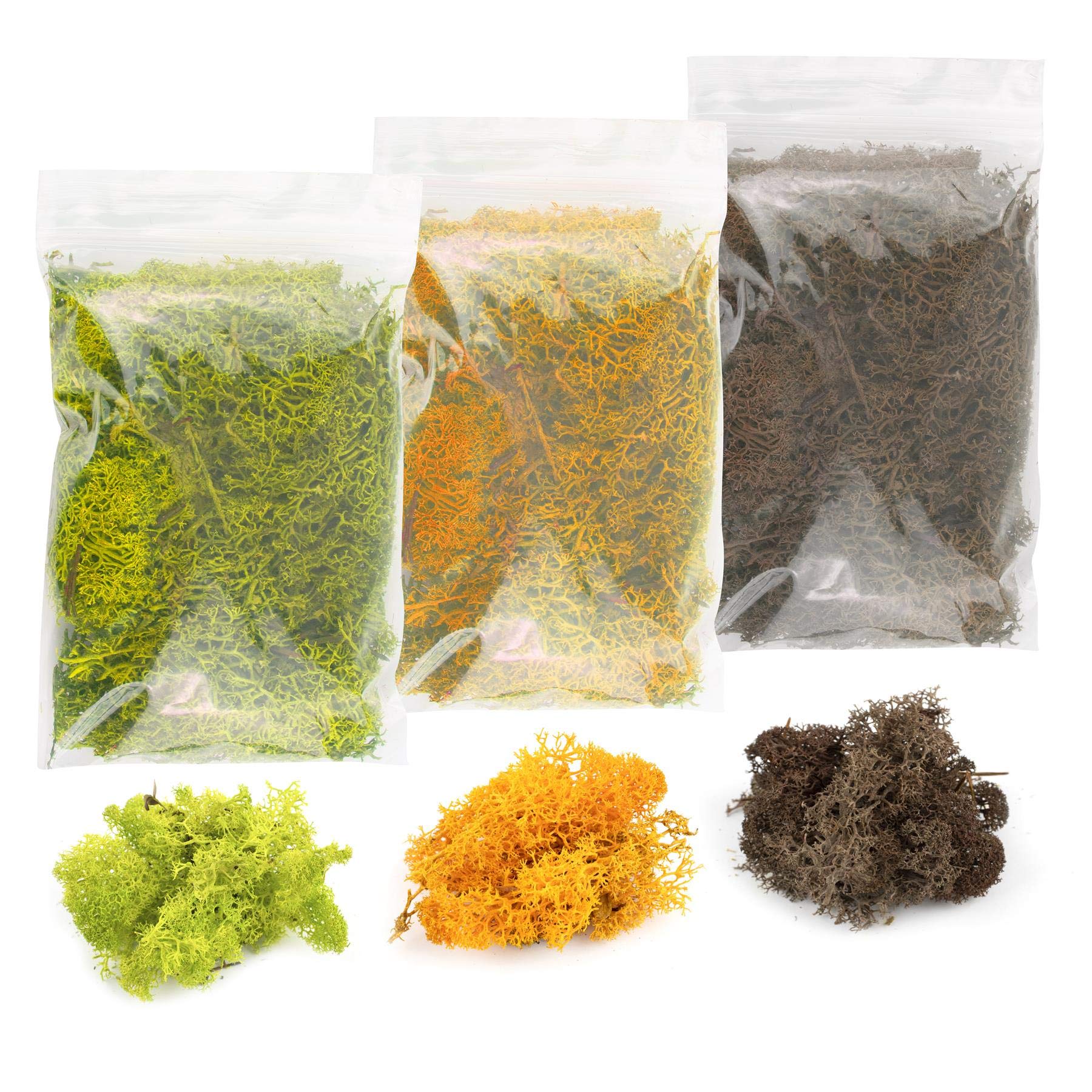 War World Scenics Lichen Moss Model Foliage Multi-Pack 3 x 60g (Light Green, Orange, Brown) –Railway Modelling Wargame Basing Scenery Landscape Trees Bushes Hedges Diorama