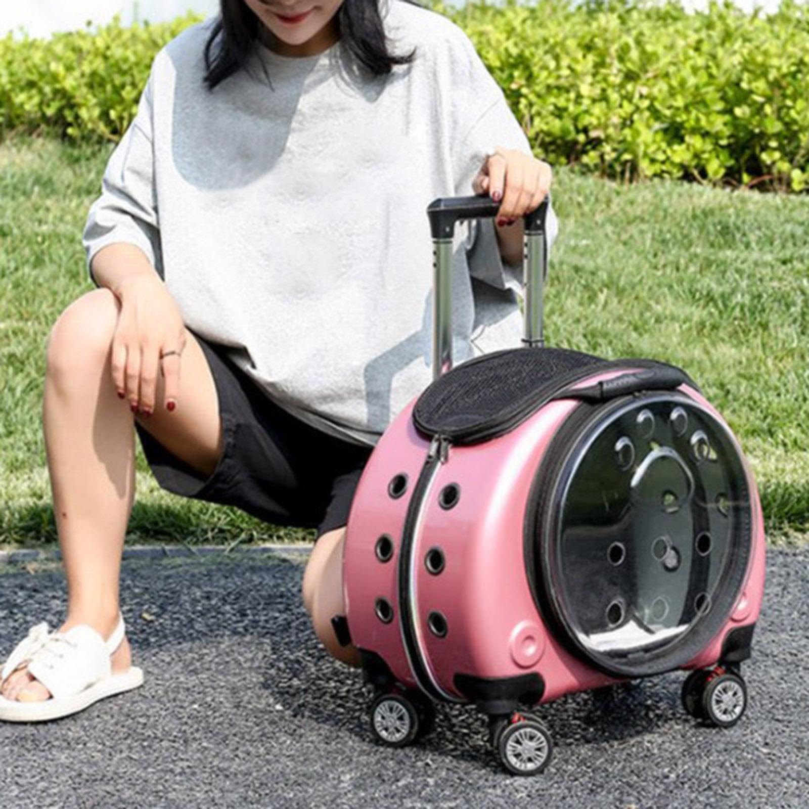 Mochila Ligera y expandible para Perros pequeños Que Ofrece experiencias al Aire Libre únicas y cómodas. Mochila de Senderismo Transparente con Ventana para Viajes,