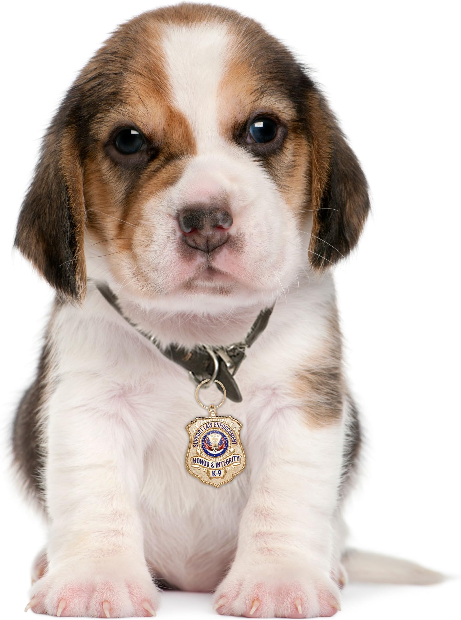 Gold-Plated K-9 Honor Badge Dog Tag