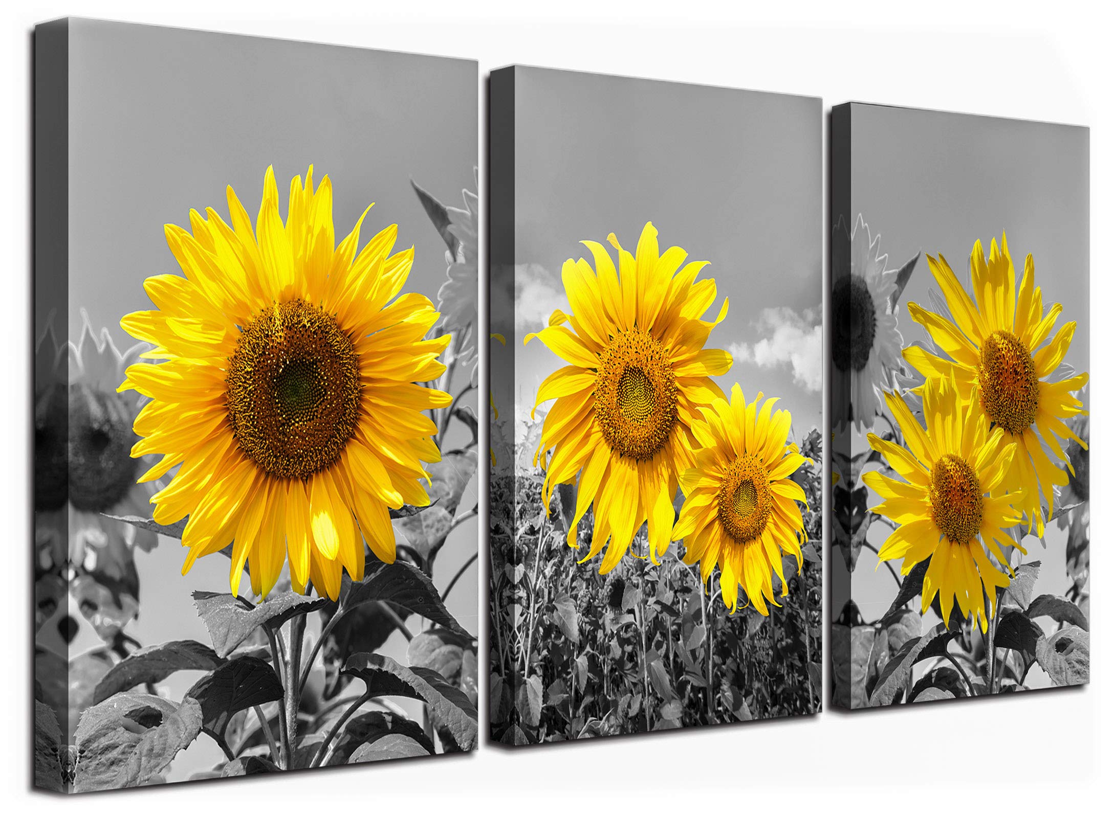 Sunflower Wall Art for Living Room Black White Flowers Wall Decor Yellow Floral Canvas Prints Painting Wood Frame with Hook Decorative Botanical Blossom Picture Artwork in 3 Panels 12×16 Inches