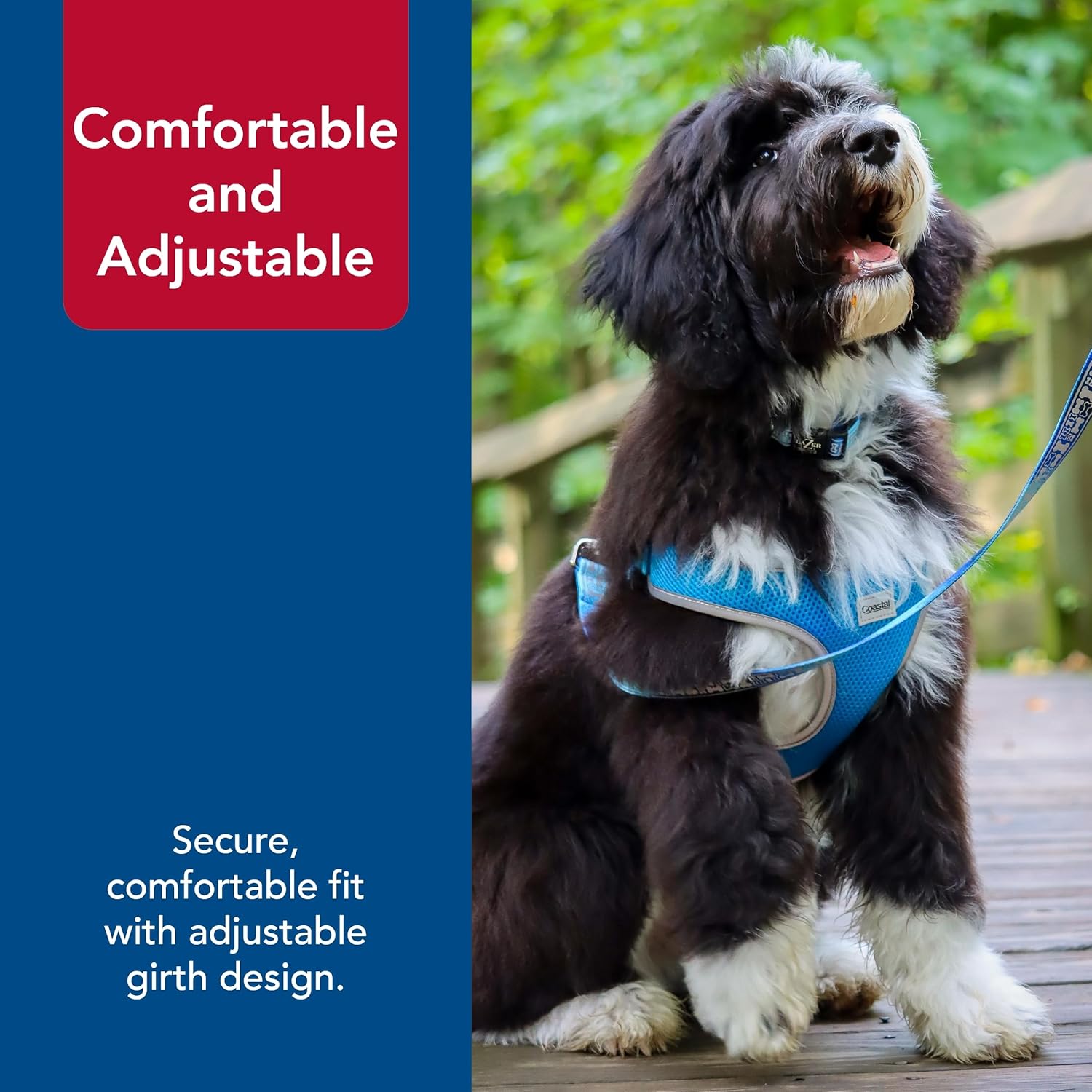 Coastal Pet Comfort Soft Reflective Wrap Adjustable Dog Harness - No-Pull Dog Harness for Small & Large Dogs - Blue Lagoon - 3/4" x 20"–29"