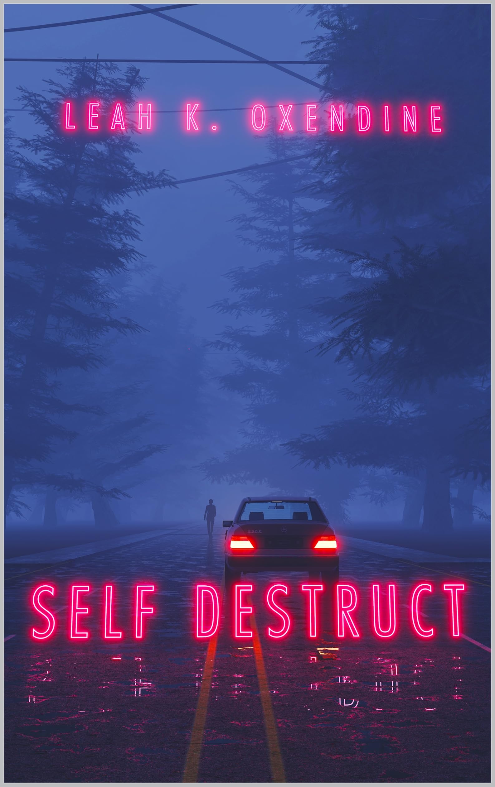 Self Destruct