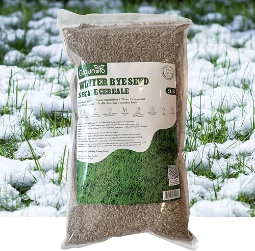 Winter Rye Seeds 5lbs Cover Crop Seeds Annual Secale Cereale