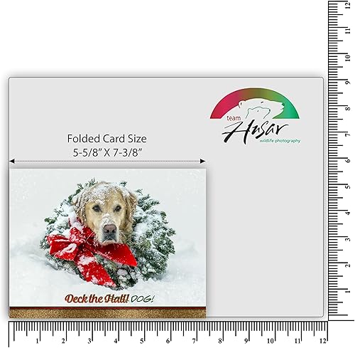 Miniatura 3 de Team Husar Golden Retriever - 15 tarjetas navideñas para perros, 16 sobres blancos (corona de oso - Navidad)
