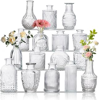 BJONKZ Glass Bud Vase Set of 16 - Vintage Clear Small Flower Vases for Centerpieces & Table Decor