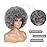 JSDshine Afro Wig - Soft 70s Afro Wigs For Women Grey Kinky Curly Hair Wigs With Bangs Natural Looking Gray Big Curly Wig For Men Bouncy Afro Puff Wig For Daily Party Cosplay Use