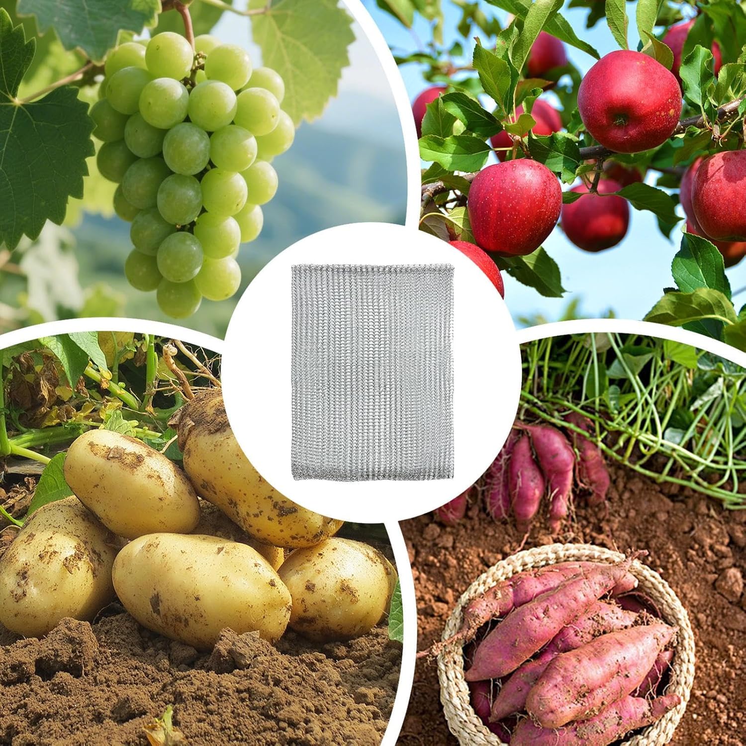 植物用根ガードバスケット,ステンレス製 果物メッシュバリア | 根保護メッシュ袋 果物用 | ガーデン ヤード 農場 トマト 野菜
