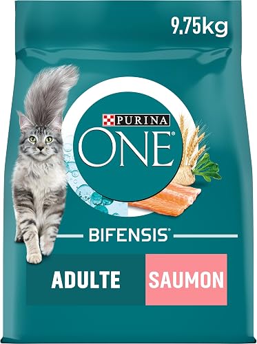 ONE Bifensis PURINA