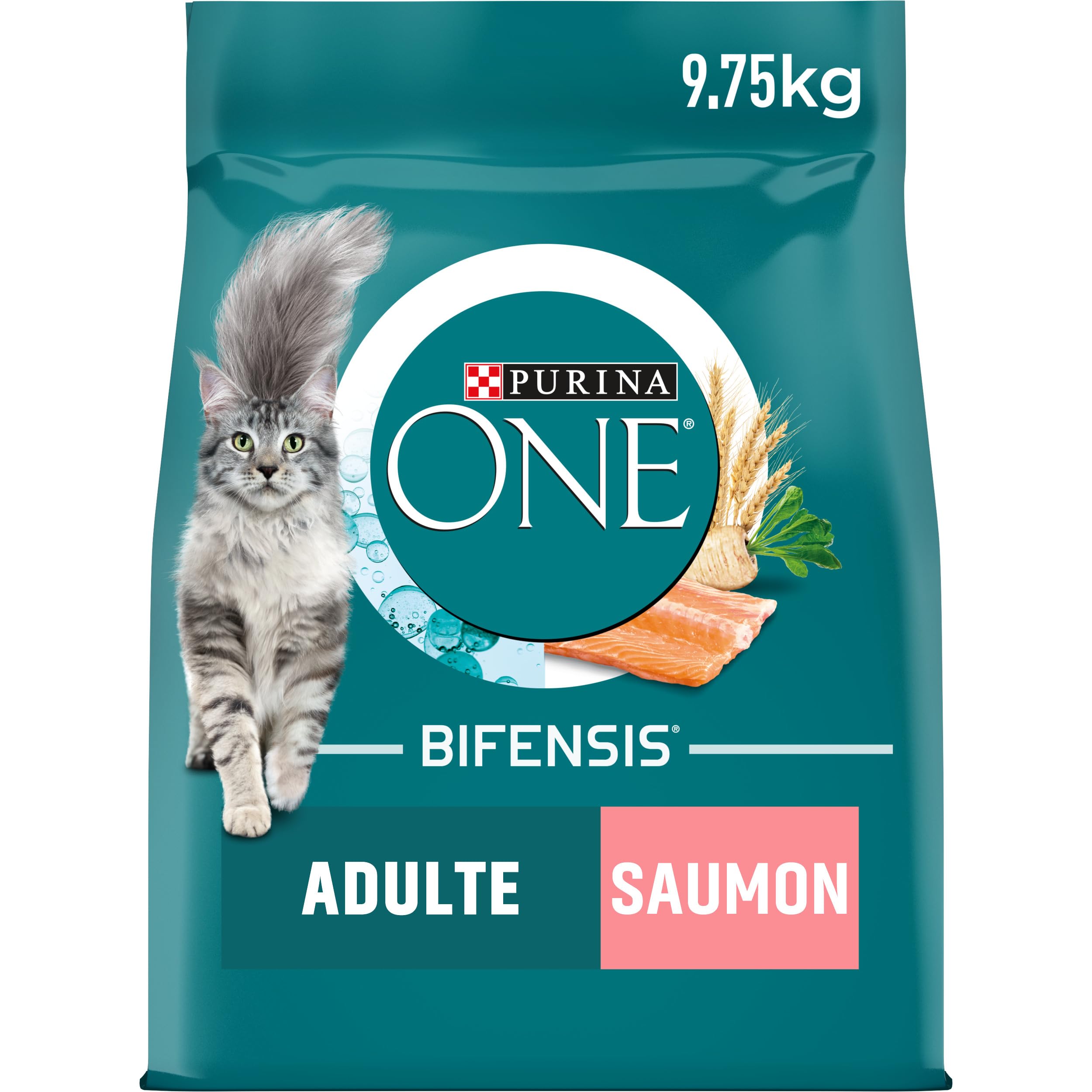 PURINA ONE | Benefits | Sterilized Adult Cat | Dry Food | Helps maintain a strong immune system | Salmon | Bag| 9.5 kg