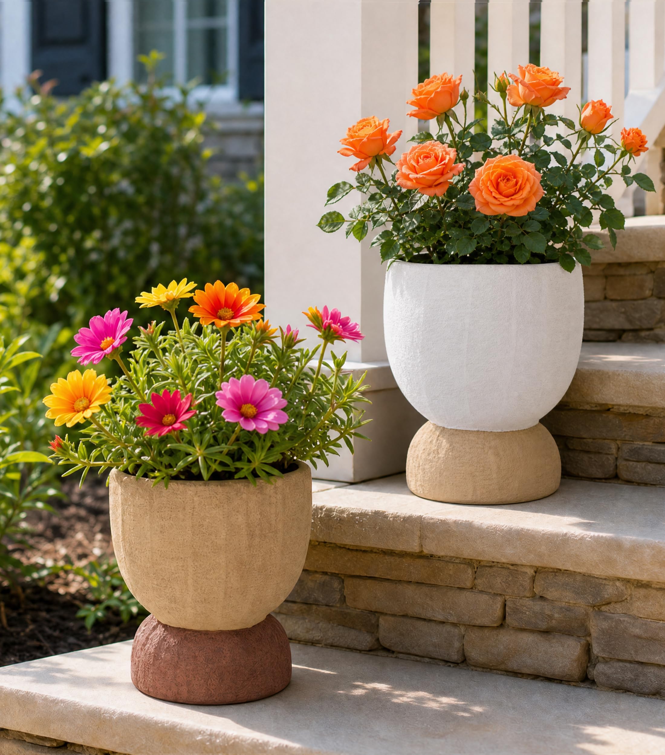 Photo 1 of ****ONLY ONE*** DREAMLOOM 6.4Inch Coarse-Grained Terracotta Pots for Succulents, 2Pcs Flower Planters with Drainage Holes, Bonsai, Cactus Aloe, Herbs, Orchid, Rustic Color