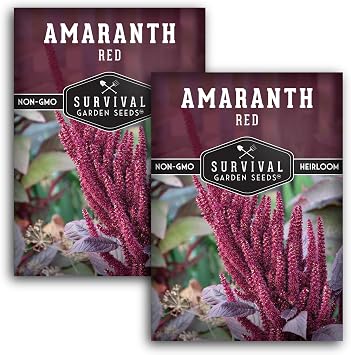 Red Amaranth Seeds for Planting - Survival Garden Seeds 2 Packs | Edible Leafy Greens and Grain Variety, Fast Growing Microgreens or Garden Harvest, Heat Tolerant Summer Crop