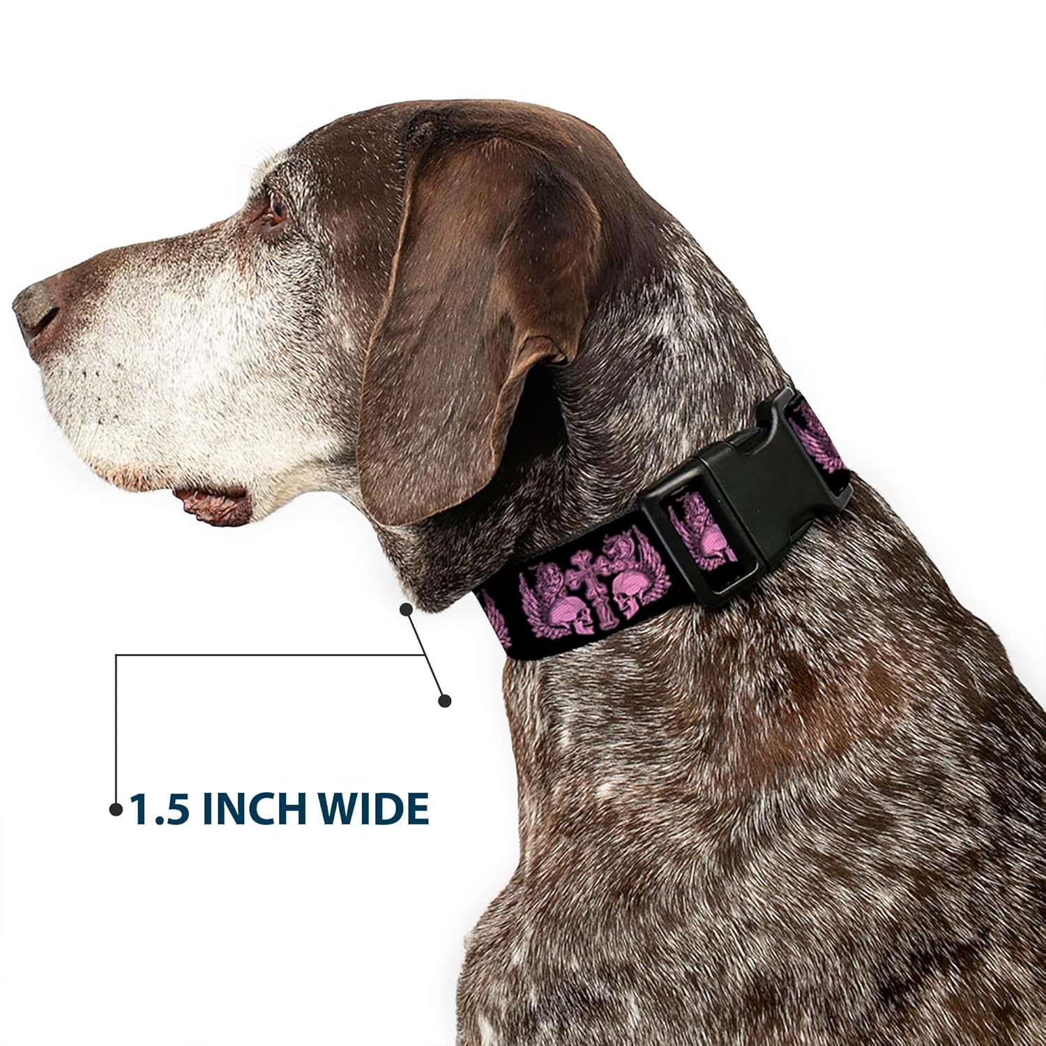 Buckle-Down Bd Skulls with Wings Black/Pink Plastic Clip Collar, 1.5" Wide-Fits 16-23" Neck-Medium