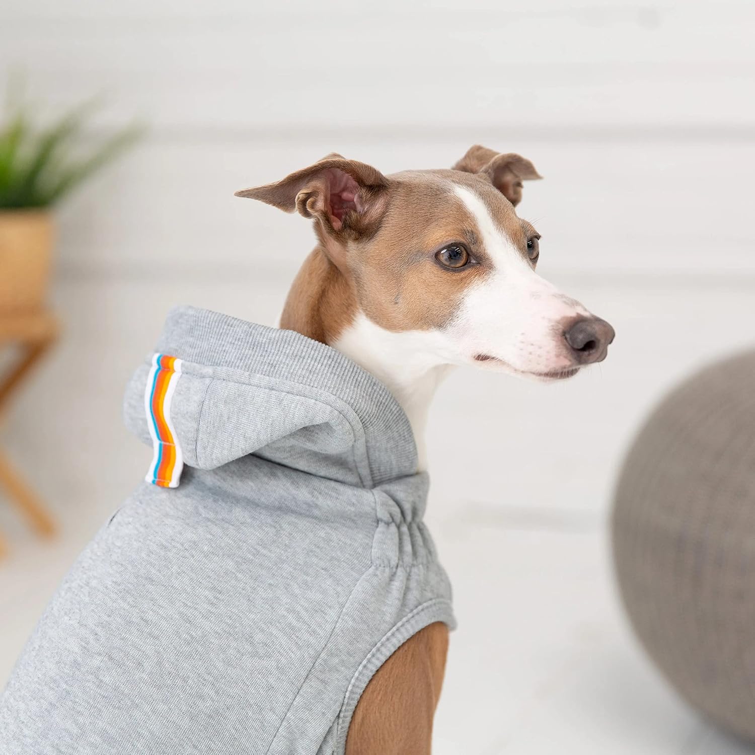 GF PET Elasto-fit Urban Hoodie Dog Jacket – Stylish Hoodie for Dogs | Soft Fleece Lining | Comfortable & Warm Dog Pullover for Small Medium Large Dogs – Heather Grey - XS