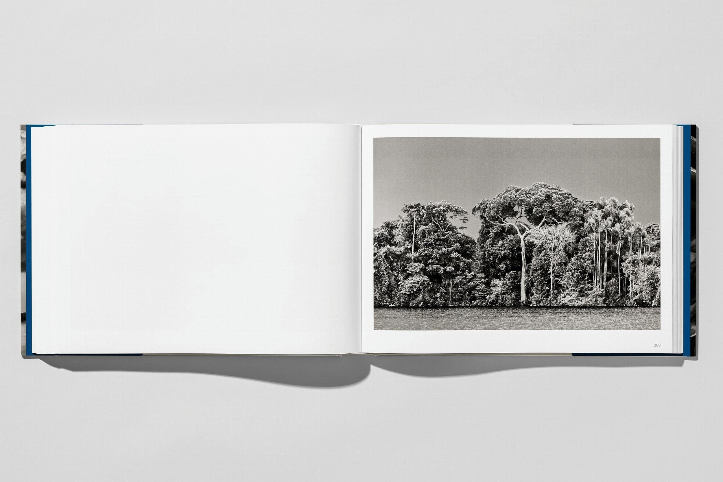 Sebastião Salgado: Amazônia
