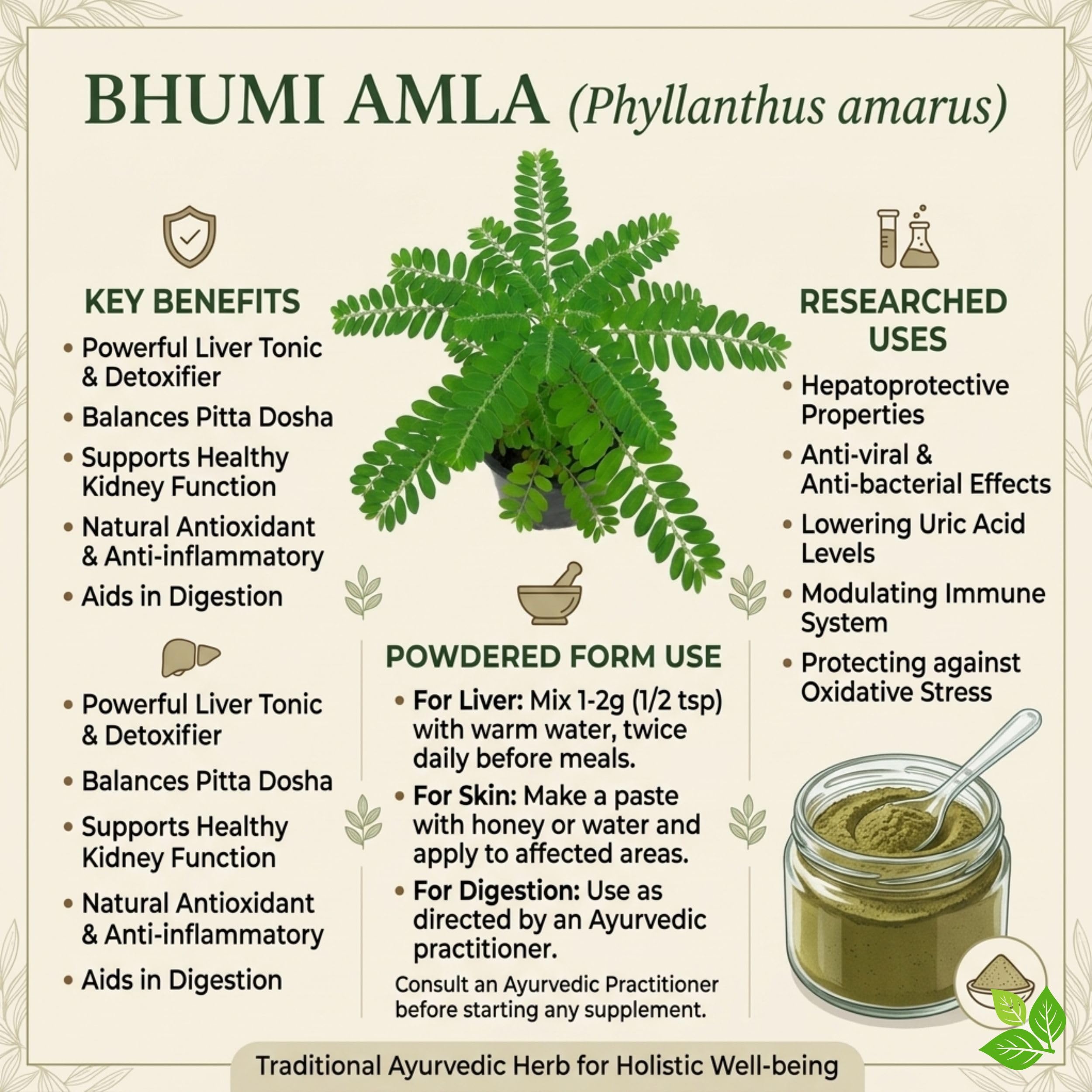 Bhumi Amla Powder 250g | Bhu Amla Powder | Bhumyamalaki | Phyllanthus Niruri Herbal Powder | Ayurvedic Wellness Supplement | Pure — Amazon image 6