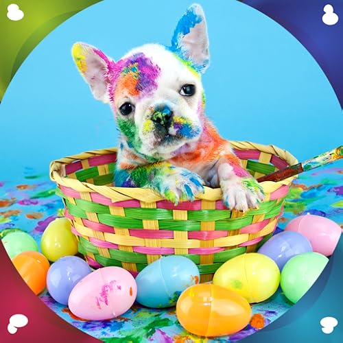 Imagens animadas de Sweet Animals Live