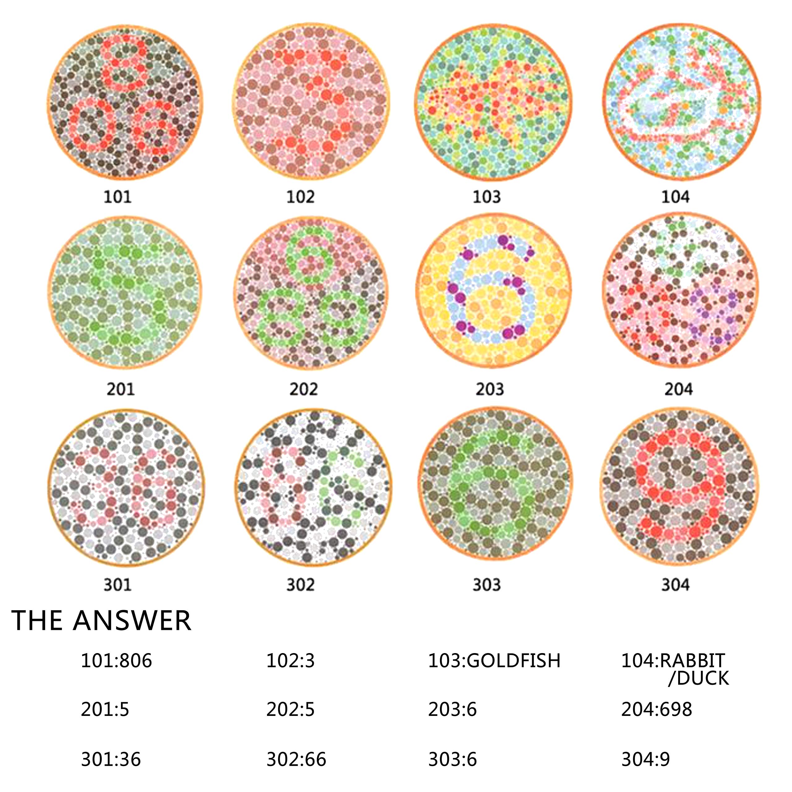 Colorblind Glasses That Make People See Color for Men Premium High