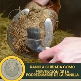 Ver la foto 6