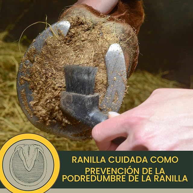 Foto 6 de 8 de Cuidado de la rana para los caballos I Protección de la rana I Cuidado de los cascos I Casco