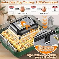 Vista 2 de Incubadora de 49 huevos para incubar huevos con giro automático de huevos, pantalla de temperatura y humedad, cuenta regresiva del día