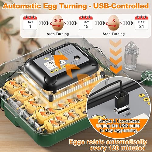 Miniatura 2 de Incubadora de 49 huevos para incubar huevos con giro automático de huevos, pantalla de temperatura y humedad, cuenta regresiva del día