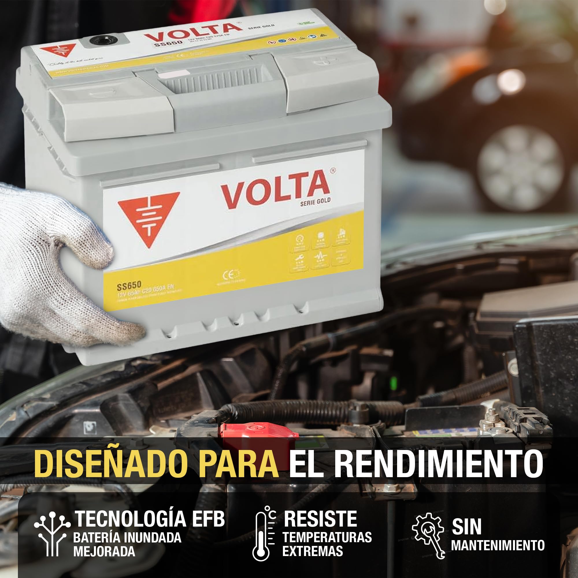 Bateria de Coche Gold 65Ah 650A Start-Stop Básico EFB Volta SS650D - Borne +Dcha - Medidas Largo 242 x Ancho 175 x Alto 190 mm con 2 años de Garantía - Fabricación Europea.