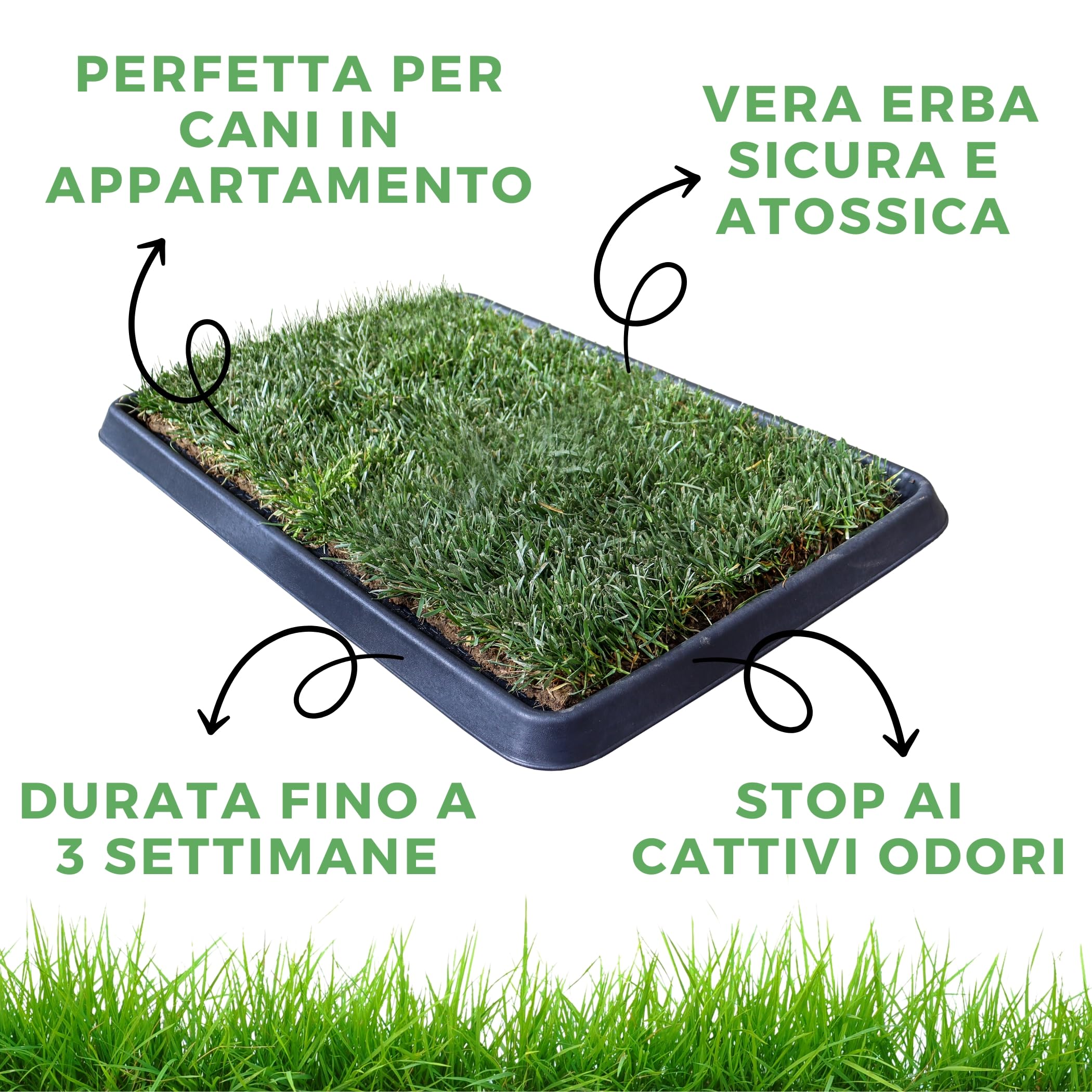 Pack 4 - XL - PetZolla: Prato Vero con Vassoio 100X90 cm, Spray Neutralizzatore e Attrattivo – Cuccia per cane. Lettiera Naturale per Cani. Alternativa Ecologica a Traversine e Tappetini per Pipì