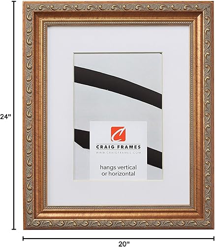 Vista 15 de Craig Frames Marco de fotos dorado antiguo adornado de 16 x 20 pulgadas para mostrar una foto de 11 x 14 pulgadas 6301 Oro,10187 Negro,Blanco,6661