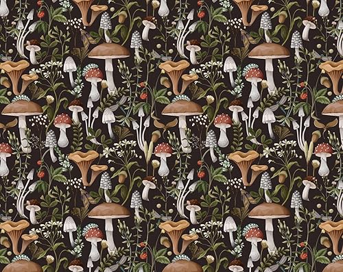 Vista 21 de DQL Funda ligera para teléfono cruzado para mujer, funda para teléfono con cordón, transparente, bolsa cruzada para teléfono celular, monedero, Negro