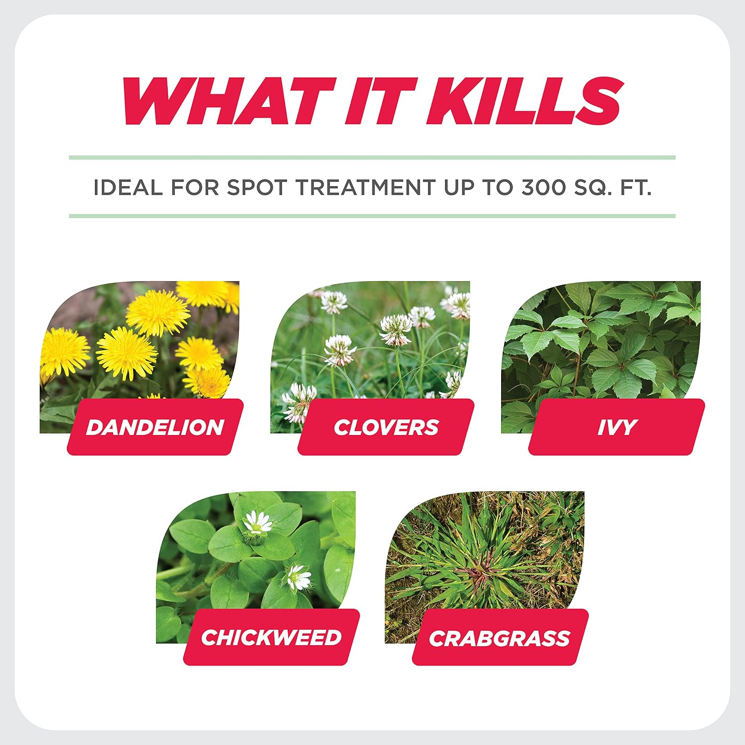 Earth's Ally Weed and Grass Killer | Safe, Pet-Friendly Natural Weed Control Spray for Patios, Driveways & Sidewalks, Ready-to-Use 24oz - Bee Safe, No Glyphosate Weed Killer