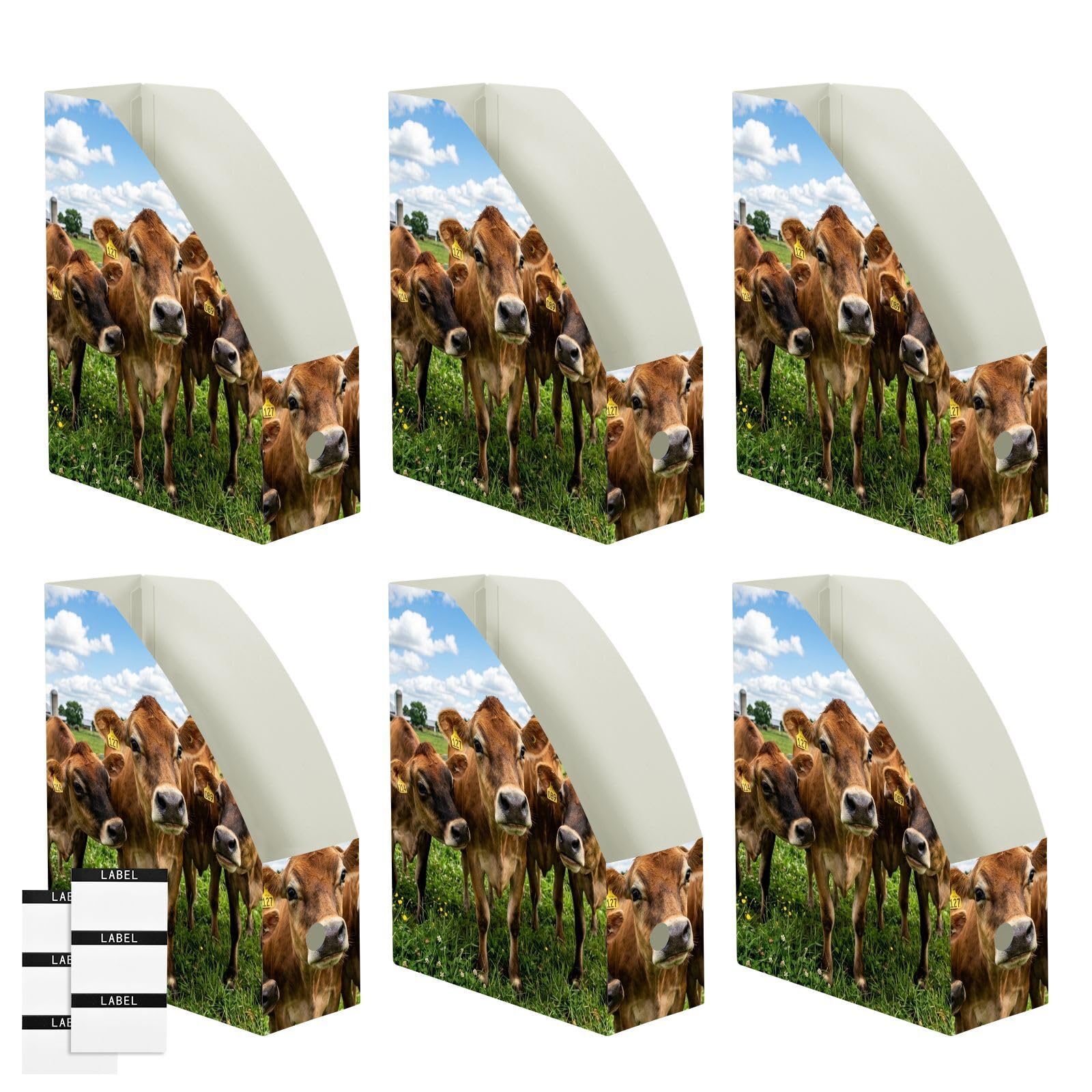 Organiseur de papier de bureau Cool Cow Blue