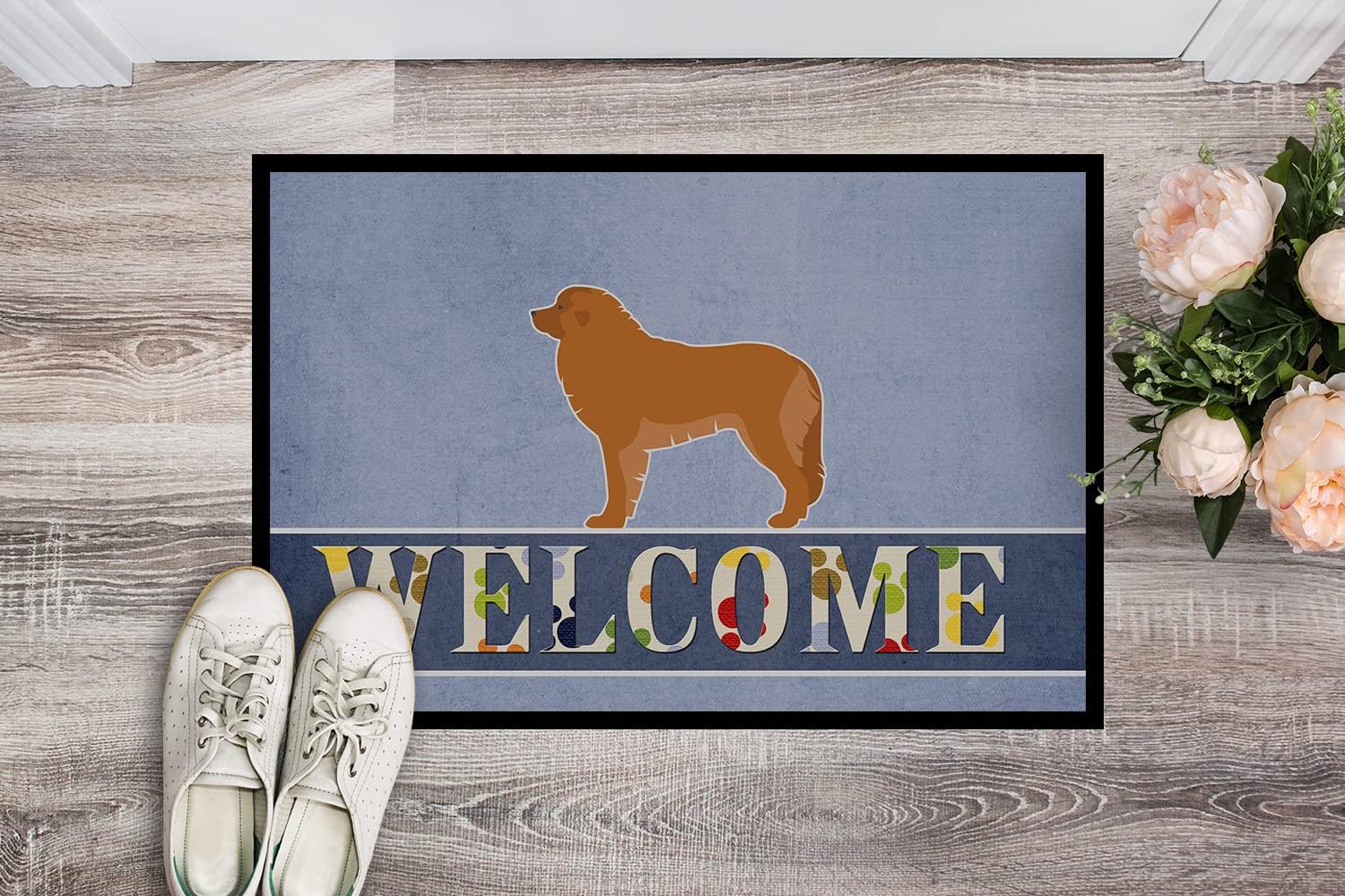 Caroline's Treasures BB5562JMAT Leonberger Welcome Doormat 24x36 Front Door Mat Indoor Outdoor Rugs for Entryway, Non Slip Washable Low Pile, 24H X 36W