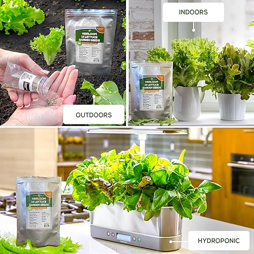 Miniatura 3 de Semillas de jardín de lechuga y ensalada para plantar, más de 6400 semillas de verduras cultivadas en Estados Unidos sin OMG para cultivo doméstico,