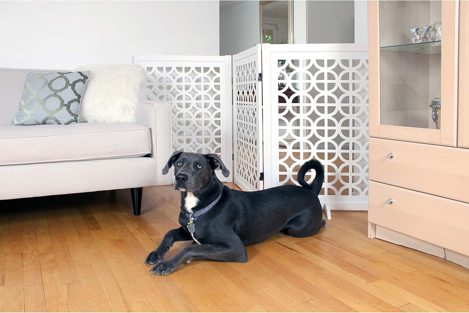 Uр Tо 40% оƒƒ Primetime Petz 33506-G19 Palm Springs Designer Gate,Palm Springs,35
