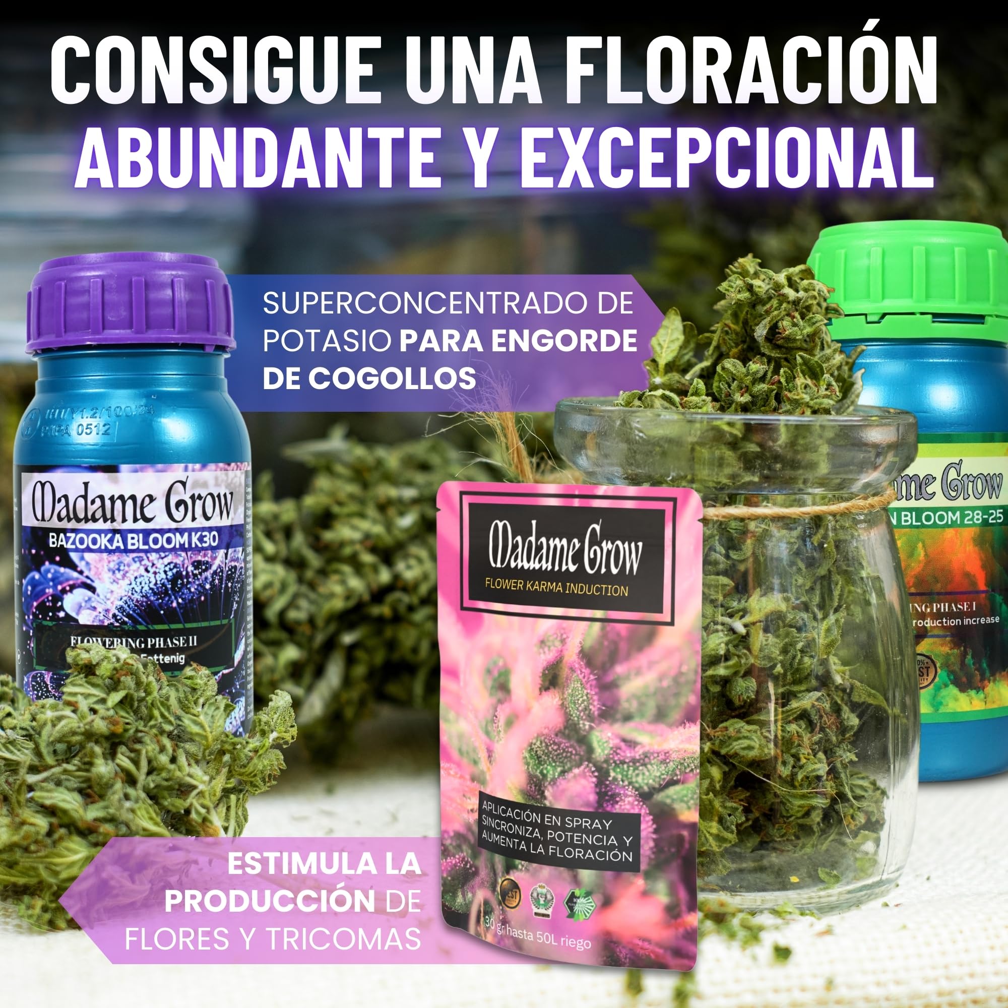 MADAME GROW Fertilizante 420 Plantas Verdes - Fertilizante para plantas verdes - Fertilizante líquido para plantas - Fertilizante universal para el crecimiento(KIT PREMIUM 9 6x250ml +30g + 50g + 100g)