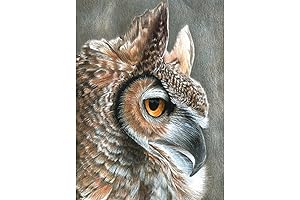 Royal Brush Color Pencil by Number Kits