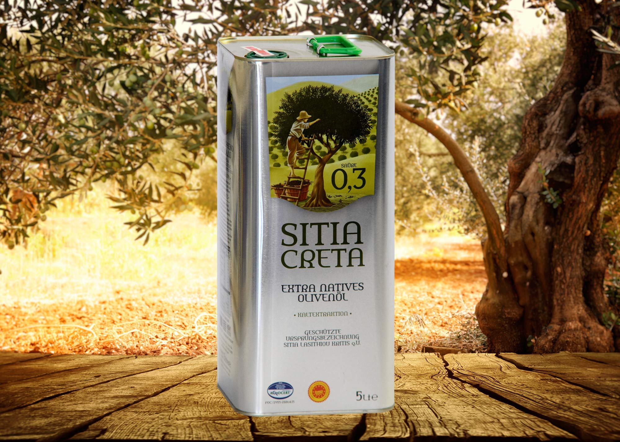 Griechisches Extra Natives Olivenöl - Sitia Creta - 0,3% Säuregehalt - Koroneiki Oliven - kaltgepresst & filtriert - natur - mildes Olivenöl - 5 Liter - premium Qualität