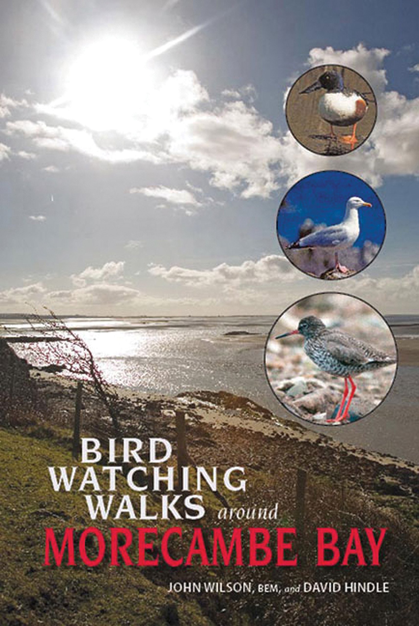 Birdwatching Walks Around Morecambe Bay,Reverend Dr John Wilson