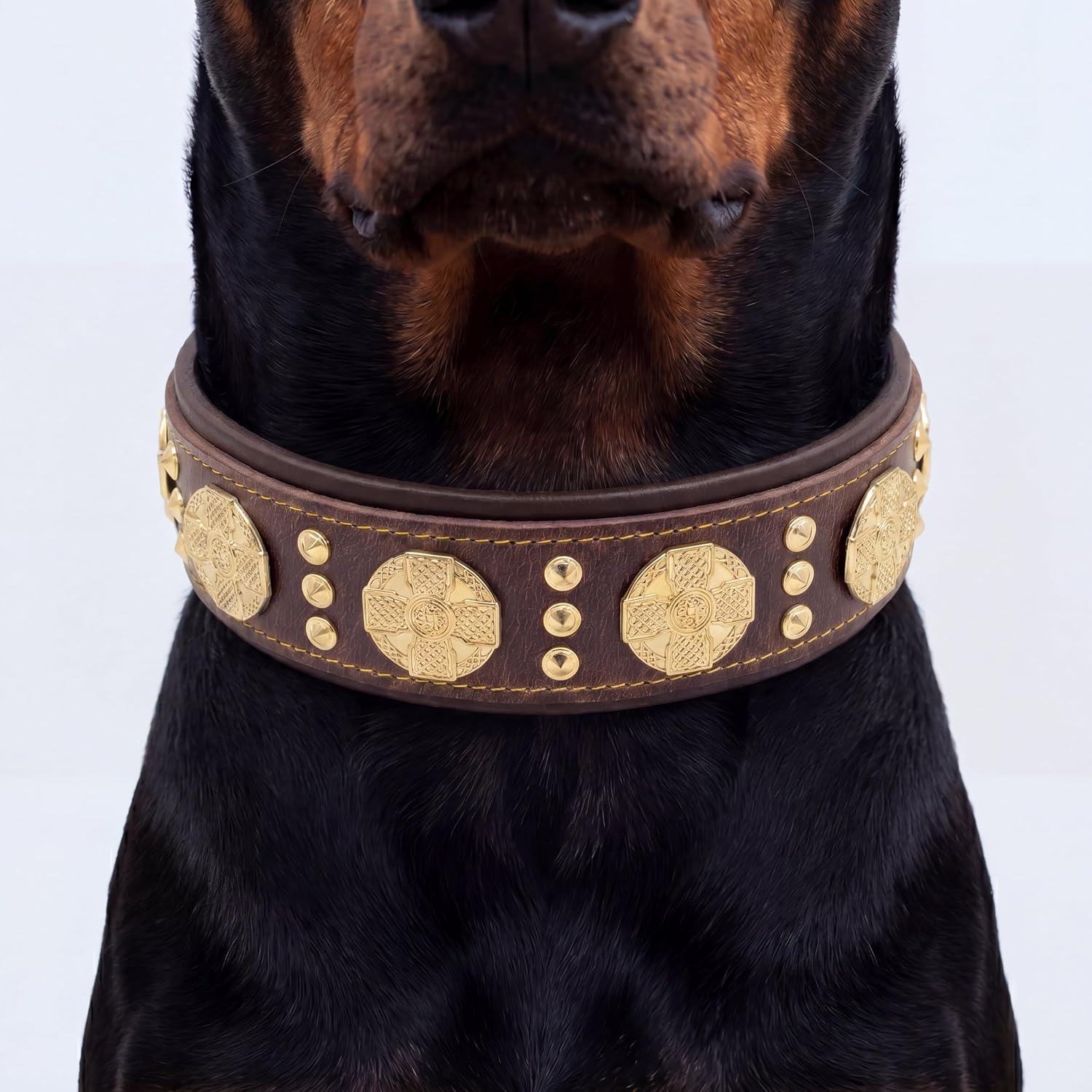 Bestia Maximus genuine leather dog collar, Large breeds, cane corso, Rottweiler, Boxer, Bullmastiff, Dogo, Quality dog collar, 100% leather, studded, M-XXL size, 2.5 inch wide. padded. Made in Europe!